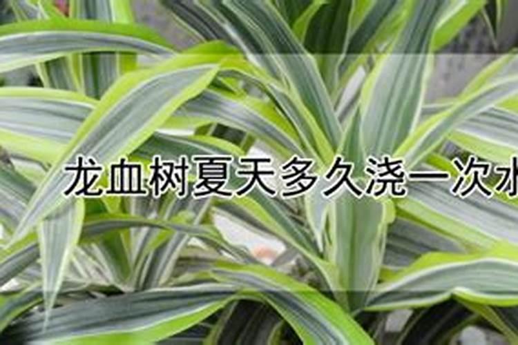 水溶肥的使用方法和用量