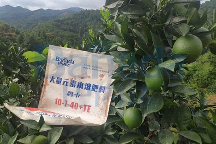 果树用水溶肥好还是复合肥好