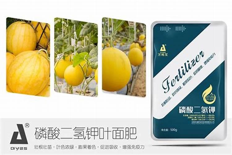 油菜叶面肥的最佳配方花卉百科