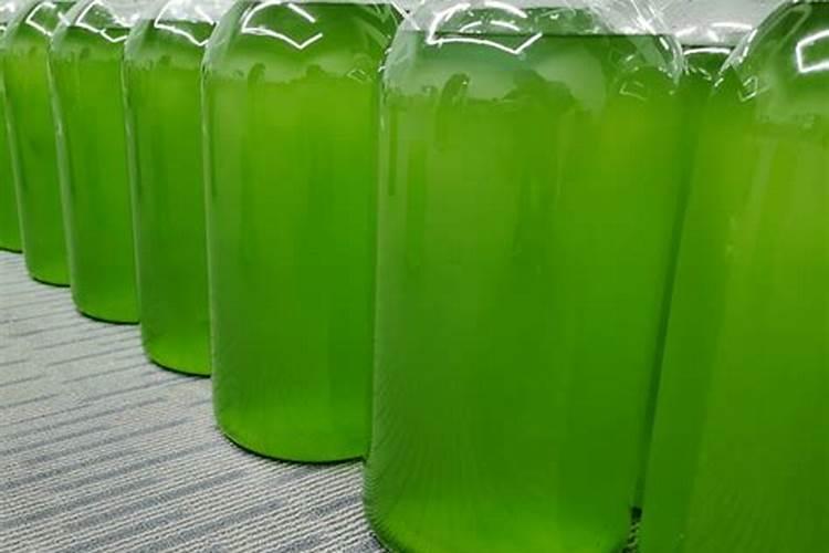 螃蟹塘里要肥水,请问要用油菜籽饼还是其它的好呢
