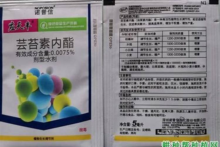 紫花苜蓿的干物质是多少花卉百科