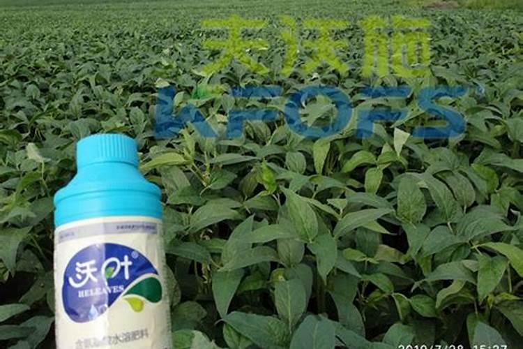 400克磷酸二氢钾可以喷玉米一亩地吗