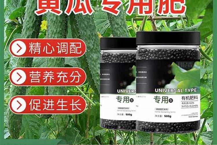 种菜一般都用什么肥料