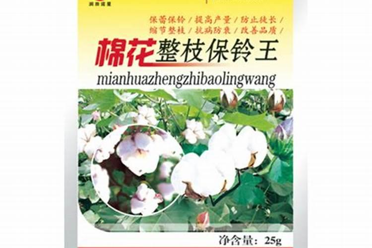 金银花施什么肥料最好、金银花用什么肥料最好