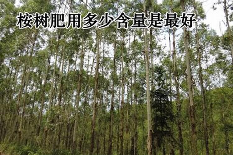 桉树用什么肥料