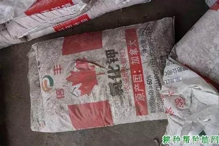山药施肥应该补充什么微量元素？