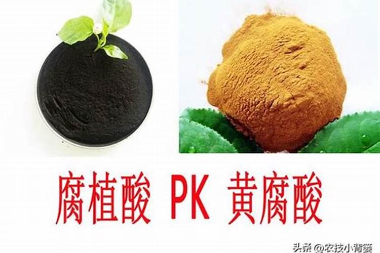 种植花生时应该如何施肥？需要施几次肥？