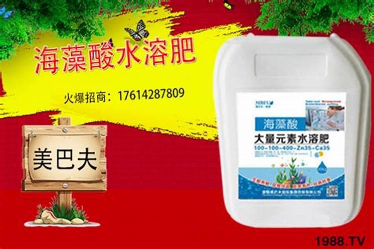 海藻精对植物的作用(肥料海藻精使农作物提早成熟提高产量)