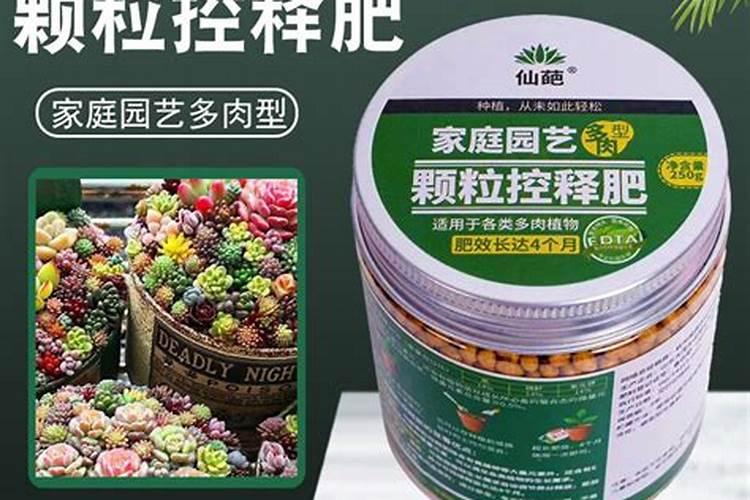 猕猴桃栽种注意问题 猕猴桃栽种有什么注意事项