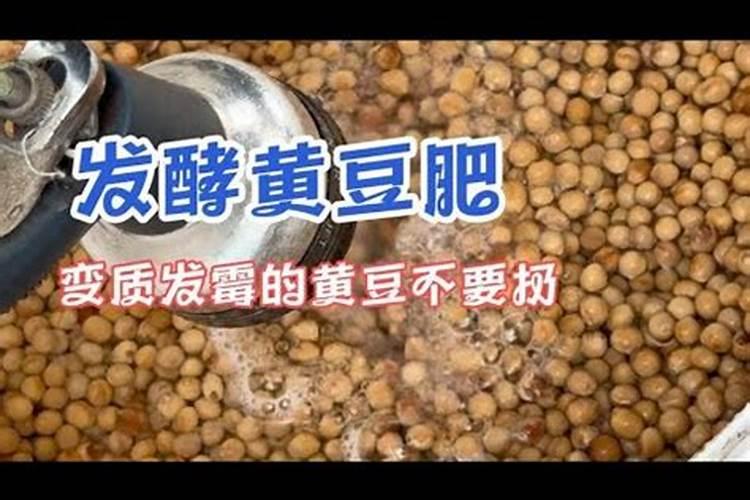 高锰酸钾能浇花吗