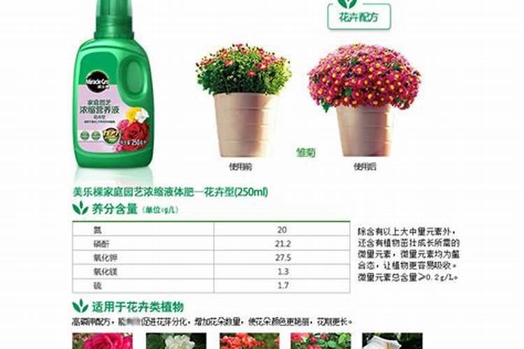 一般的花草植物上什么肥最好 花卉肥料有哪些