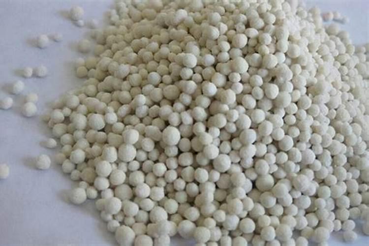 盆栽植物用什么肥料好