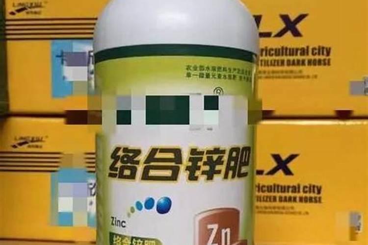 草莓栽苗前后怎么管理,能减少重茬病害和烂根死棵？