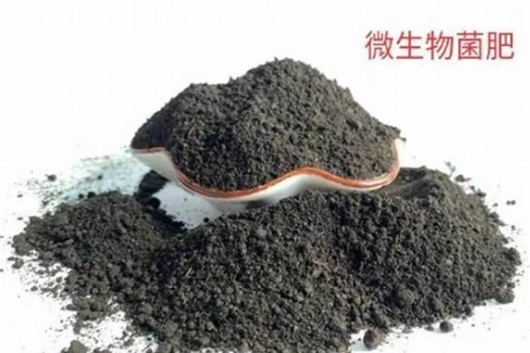 怎么施肥能让结的果子又大又好？