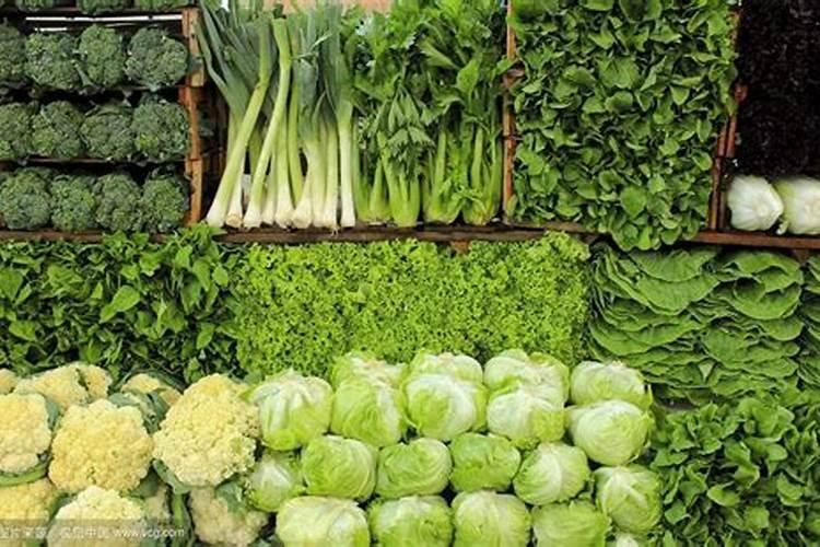 芸豆喜欢什么叶面肥
