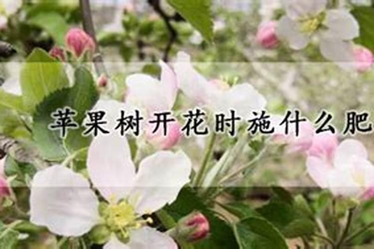 苹果用什么水溶肥好
