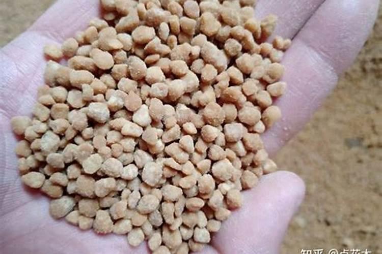 尿素可以混水施肥吗？因为尿素为稞粒,加水溶解淋菜可以吗？