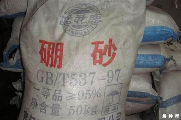 板栗园如何施用硼肥？