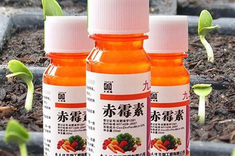 第一年新种的葡萄苗该施什么肥料