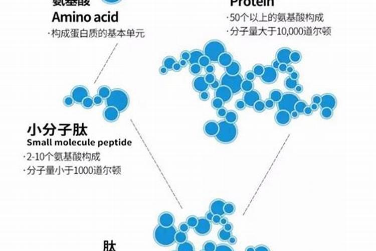 复合多肽因子素丰胸安全吗