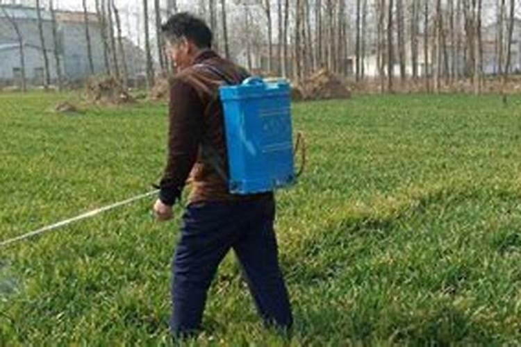 大豆花期喷什么叶面肥好