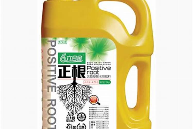 草莓开花期注意什么