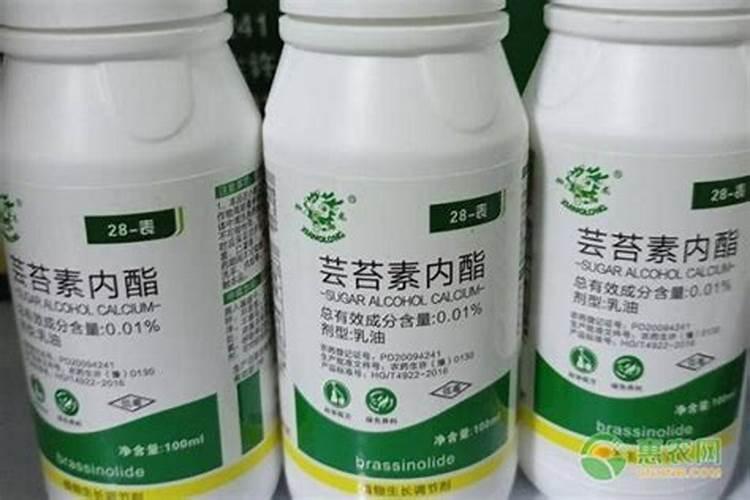 云苔素拌麦种用量 云苔素的使用方法