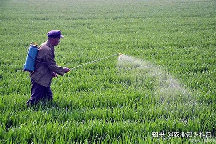噻唑锌与什么不能混用