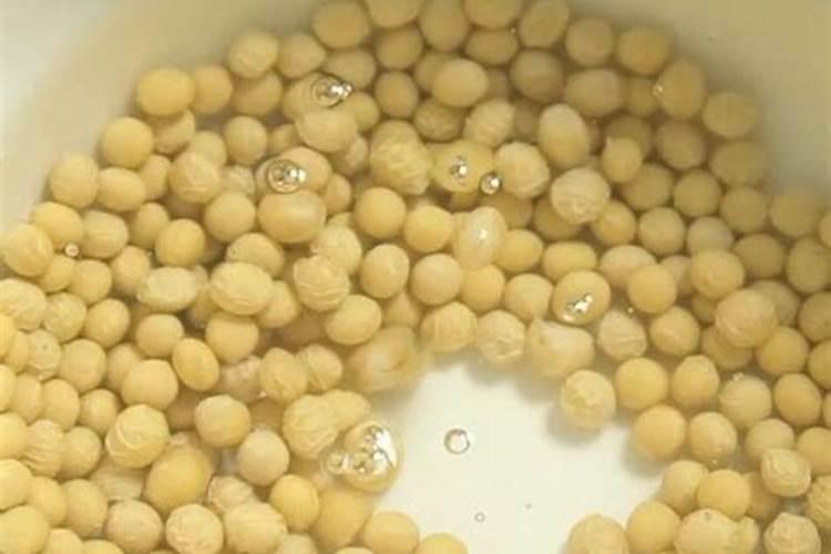 黄豆泡水是什么肥多久可以浇花