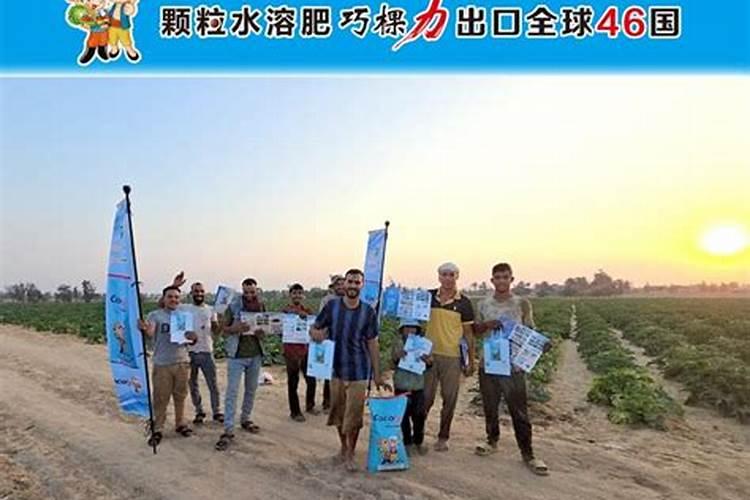 施肥后需要立刻浇水吗