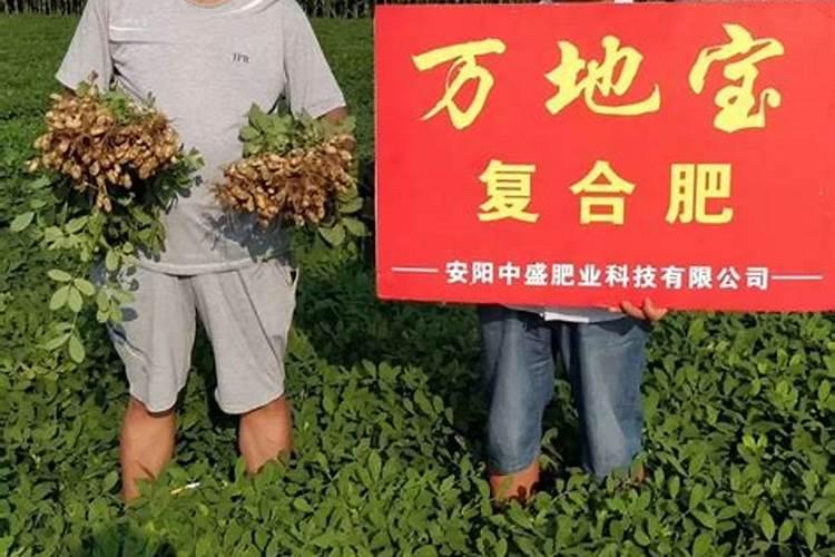 花生追肥用复合肥还是尿素