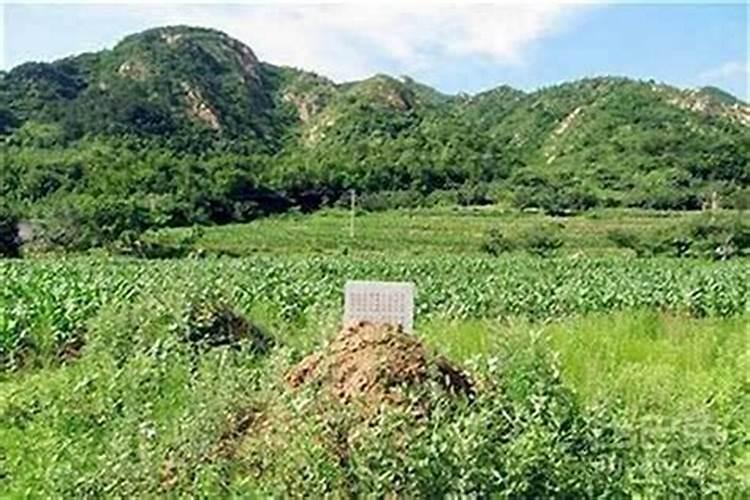 什么是磷酸水、它的用处是什么