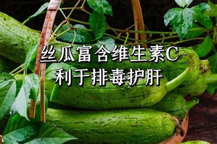 大棚丝瓜该如何种植？怎样才能提高产量？