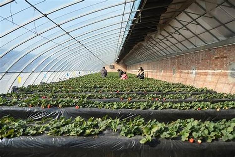 青岛奥尔斯特肥料有限公司企业概况