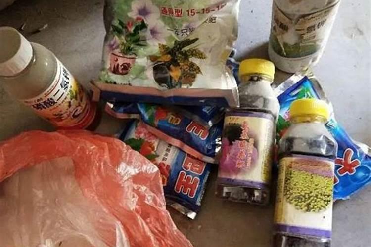 杨梅树施什么肥最好杨梅树施什么肥