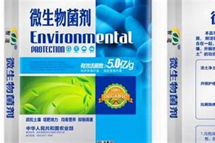种植大姜,使用菌肥的注意事项是什么？