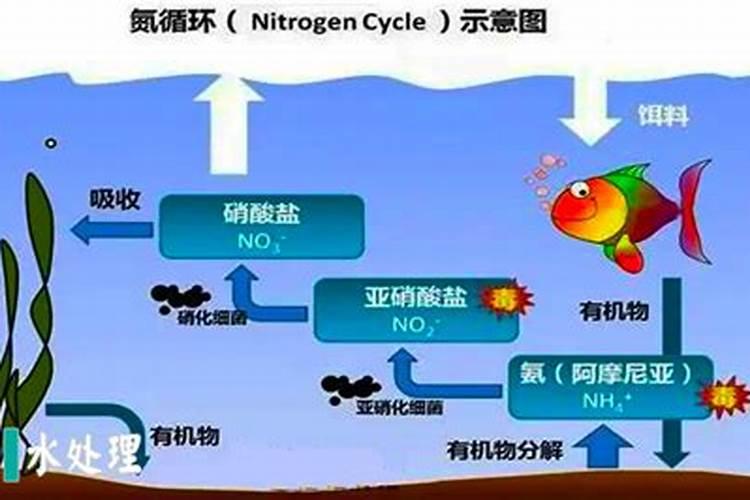 高氮肥用哪种防结剂好？