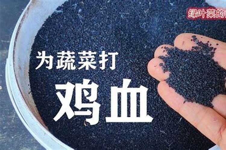 氮肥的作用,天然的氮肥有哪些