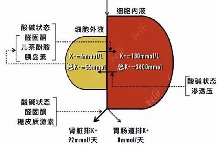 钾肥的影响因素
