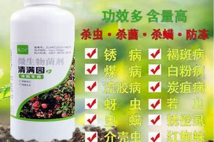 葡萄清园一般什么时候 葡萄清园可以打波尔多液吗