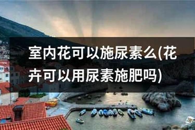 请问如何腐熟尿液做花肥？