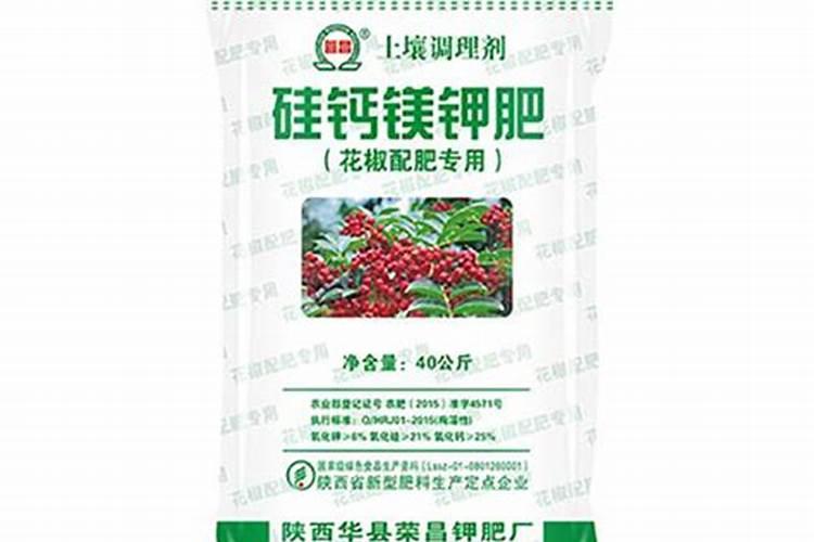白浆怎么造句