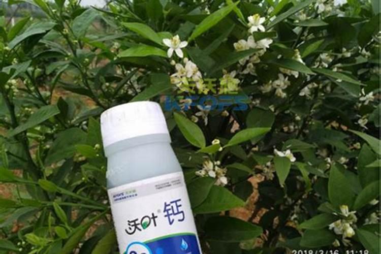 假肥料随处可见,农民买肥料,怎样辨真假
