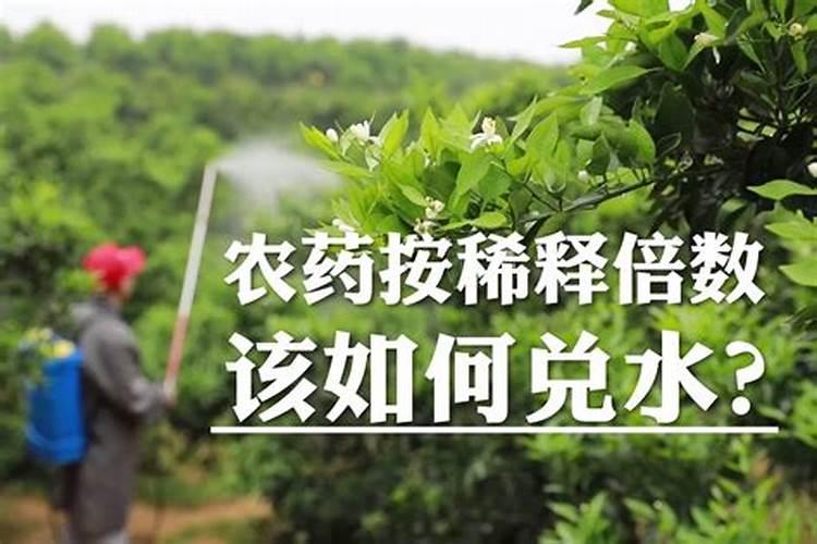 磷肥可以兑水浇吗