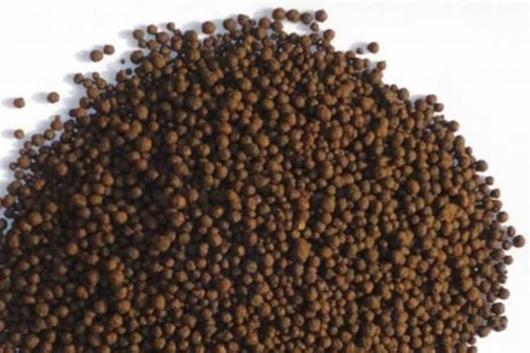 牧草用什么肥料