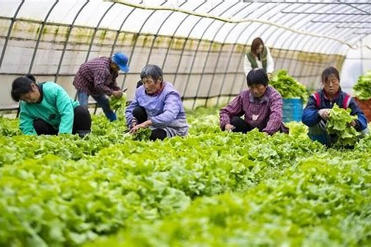 深圳市思必得照明有限公司简介