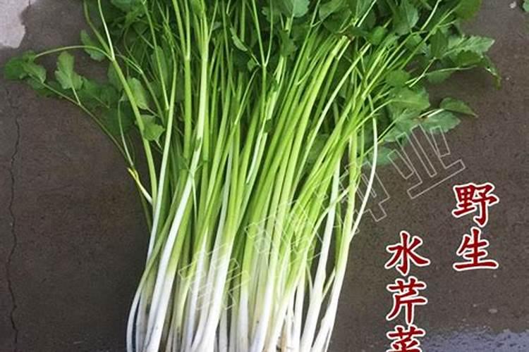 沃柑春天花期喷什么药,施什么肥？