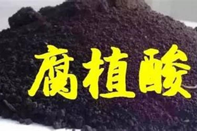 花生追钙肥什么时候最好？该如何进行追钙？