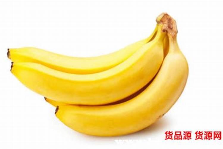 香蕉树如何施肥？香蕉树施什么肥效果好？(附施肥技术)