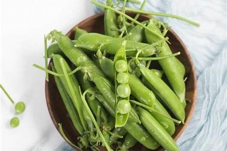 甜豌豆种植时间和方法